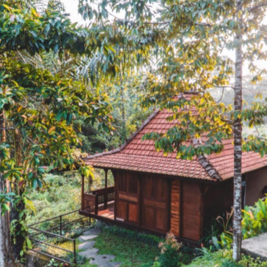 The Jungle Villa Ubud  Exterior photo