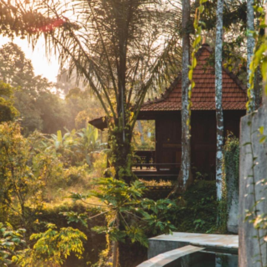 The Jungle Villa Ubud  Exterior photo
