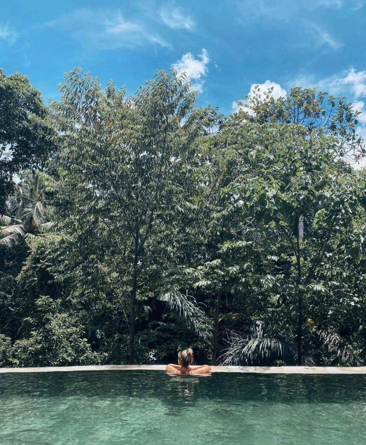 The Jungle Villa Ubud  Exterior photo