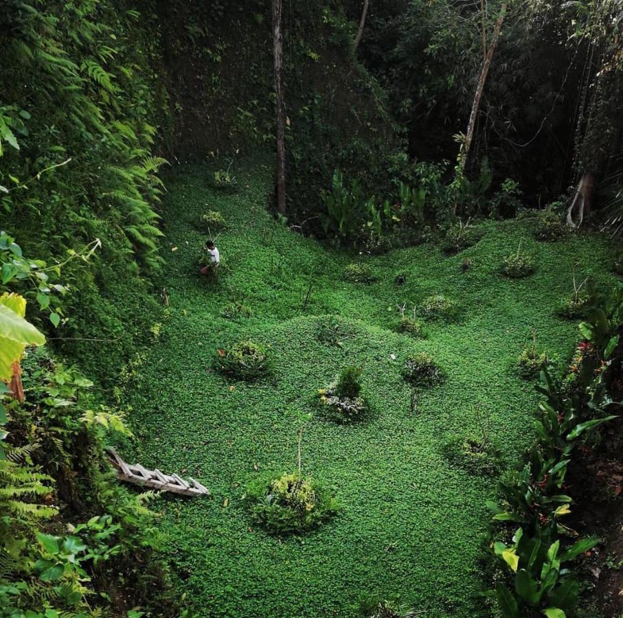 The Jungle Villa Ubud  Exterior photo