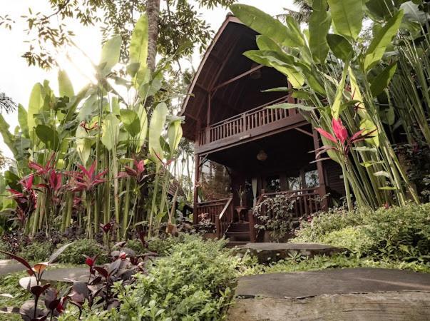 The Jungle Villa Ubud  Exterior photo