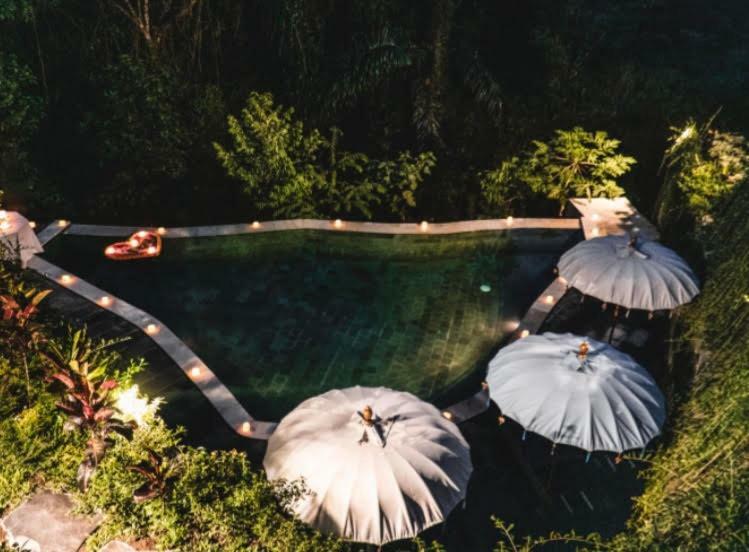 The Jungle Villa Ubud  Exterior photo