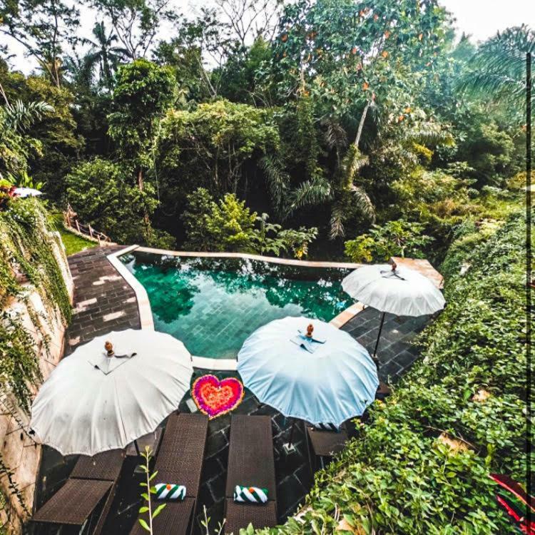 The Jungle Villa Ubud  Exterior photo